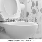 stock-photo-white-toilet-bowl-235491238